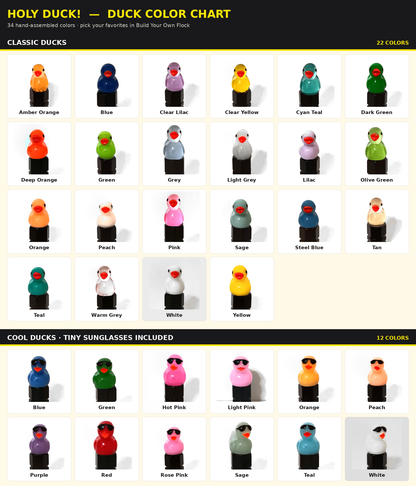Holy Duck! colour chart showing all 34 duck valve cap colours — the pool your mystery set is drawn from
